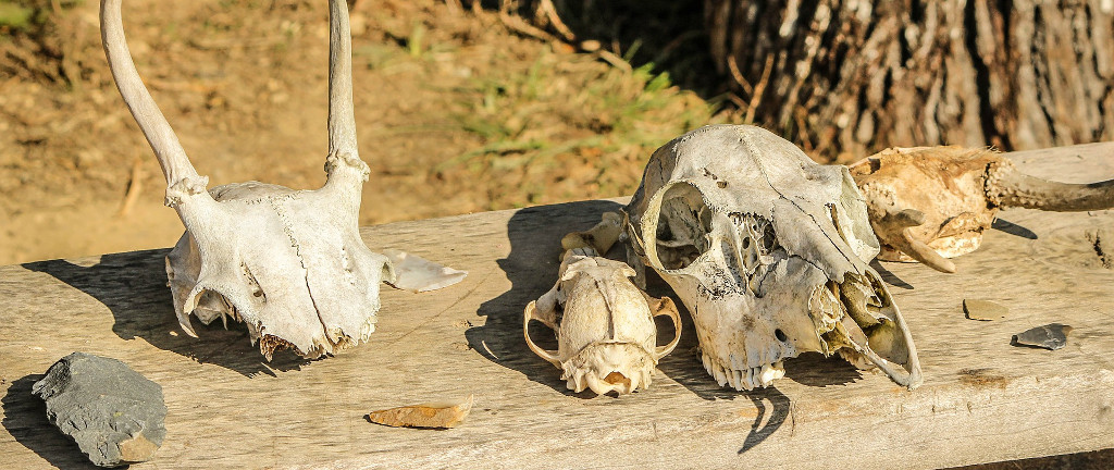 Bone artefacts